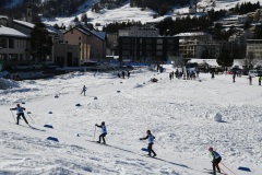 DSC_2648_2-1